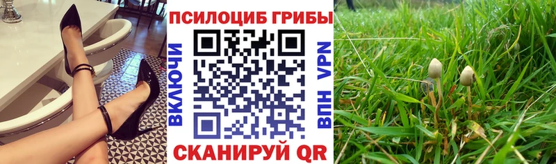 купить наркоту  Северодвинск  hydra ONION  Псилоцибиновые грибы Psilocybine cubensis 